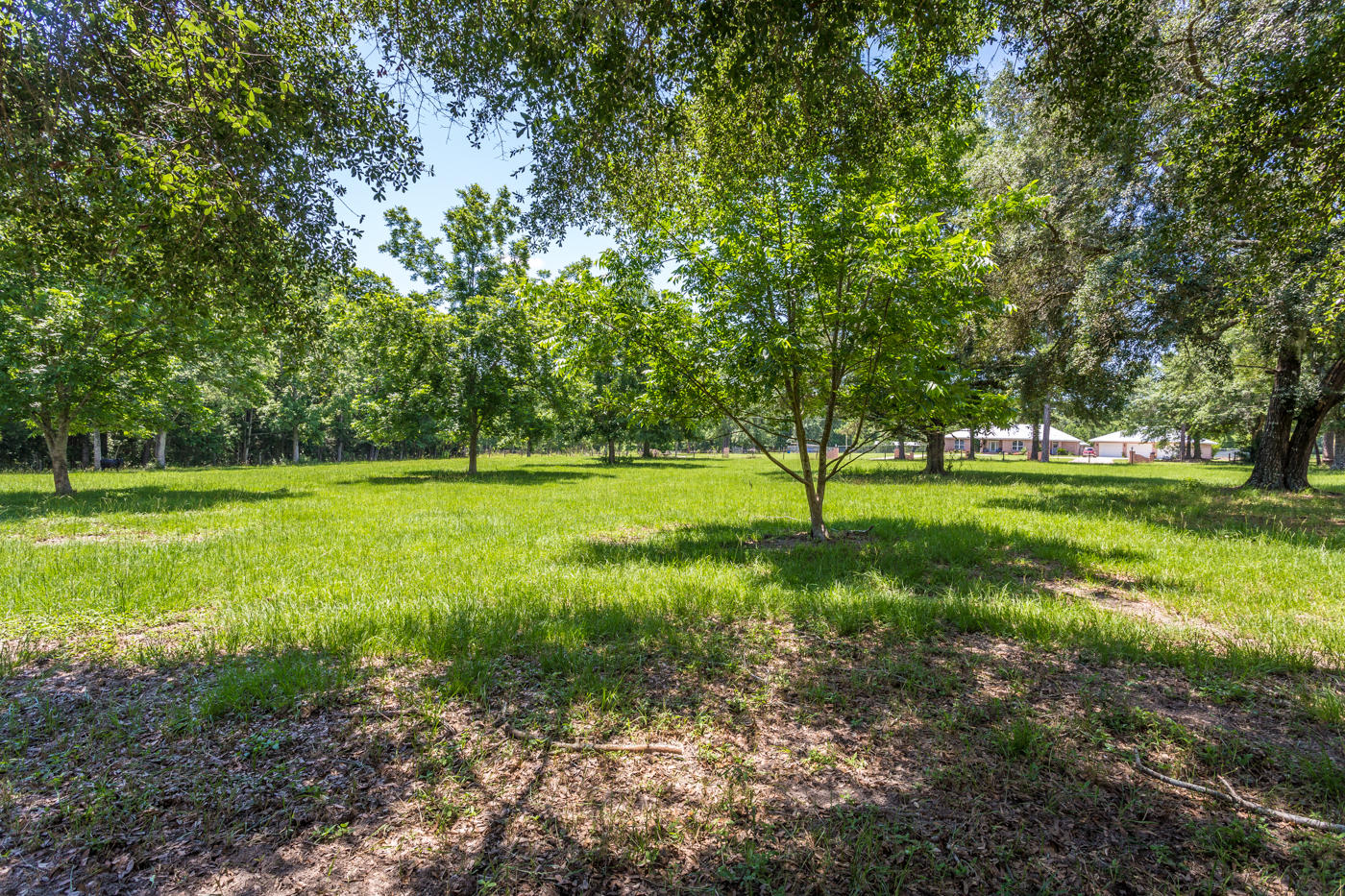 568 4 Mile Road Freeport, FL 32439 - Photo 45 of 54 Field