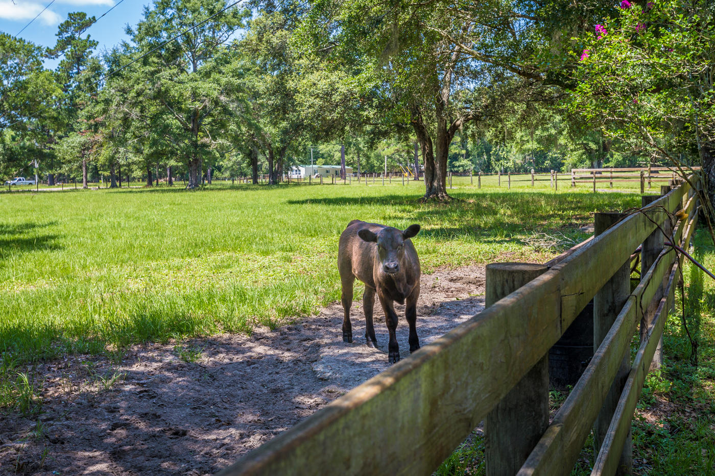 568 4 Mile Road Freeport, FL 32439 - Photo 46 of 54 Large Acreage