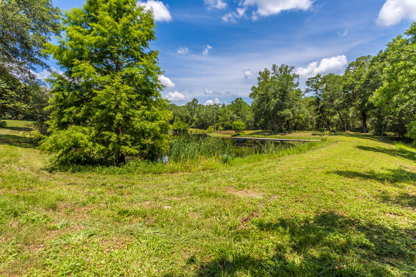 568 4 Mile Road Freeport, FL 32439 - Photo 47 of 54 Pond