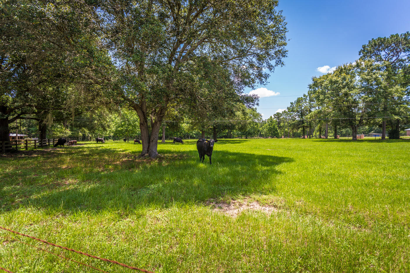 568 4 Mile Road Freeport, FL 32439 - Photo 50 of 54 Field