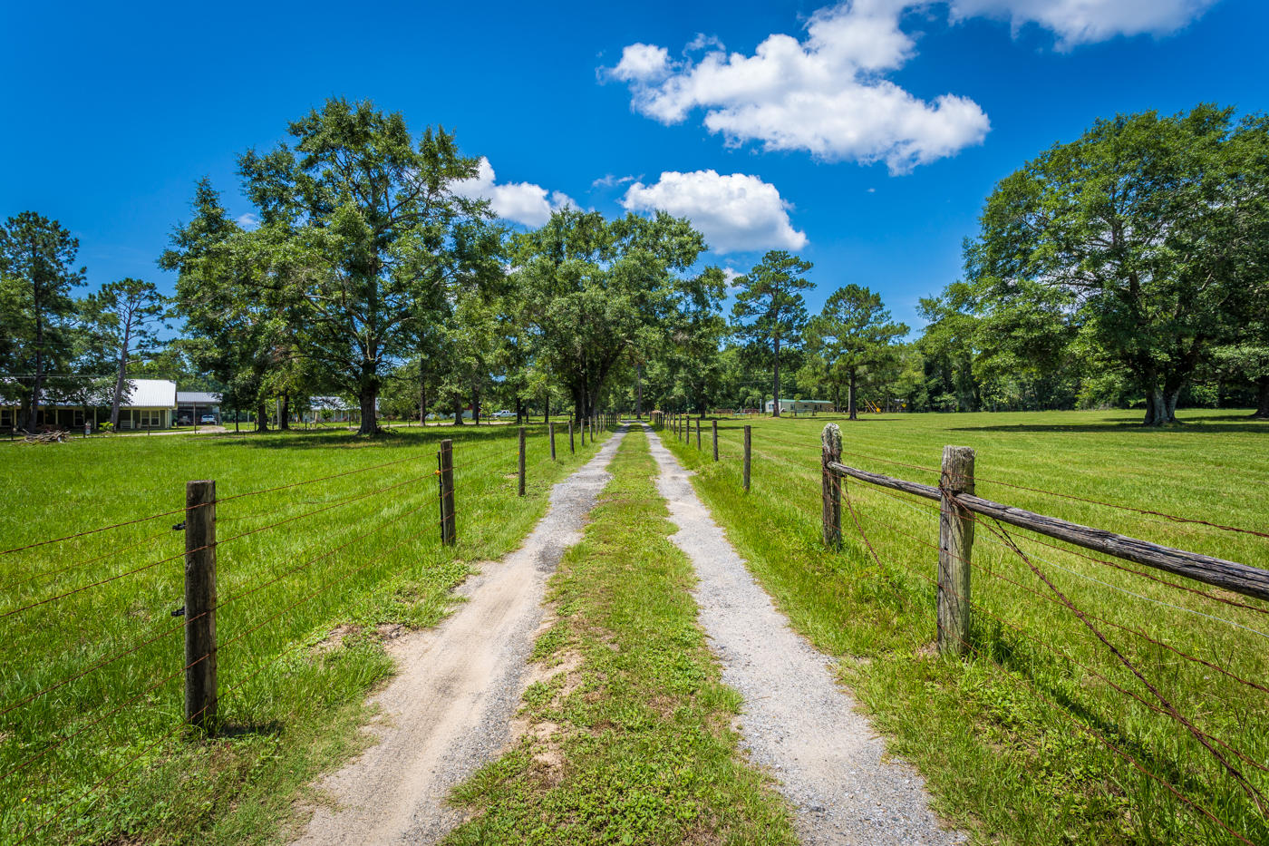 568 4 Mile Road Freeport, FL 32439 - Photo 51 of 54 Driveway