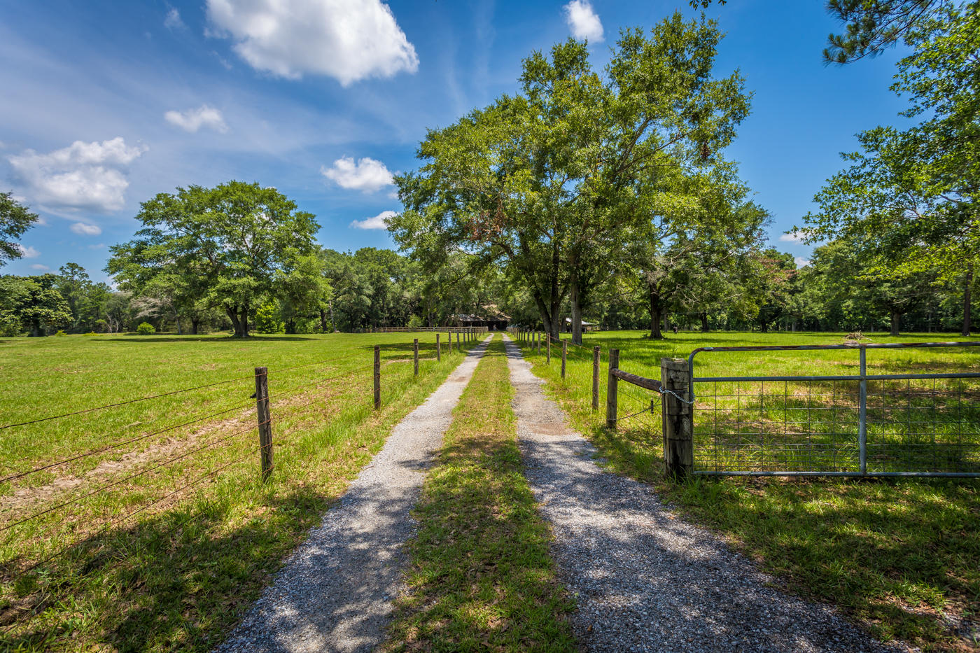 568 4 Mile Road Freeport, FL 32439 - Photo 52 of 54 Driveway
