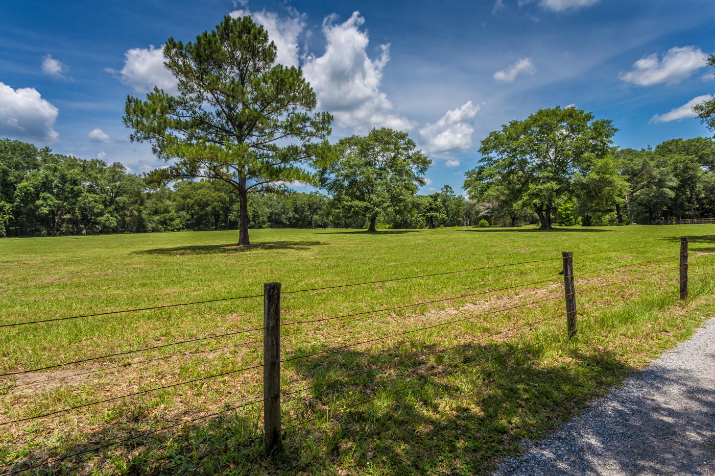 568 4 Mile Road Freeport, FL 32439 - Photo 53 of 54 Field