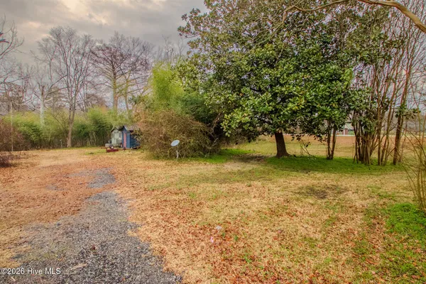 $40,000 | Lot 4 East Trent Street, Trenton, NC 28585