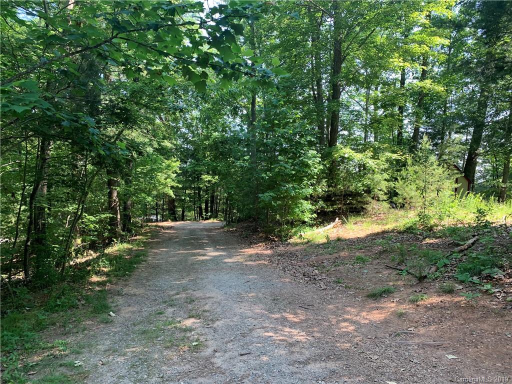 62 Smith Lake Road Leicester, NC 28748 - Photo 3 of 21 Gallery Image 3