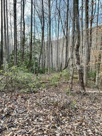 $28,500 | 0 Carringer Road, Robbinsville, NC 28771