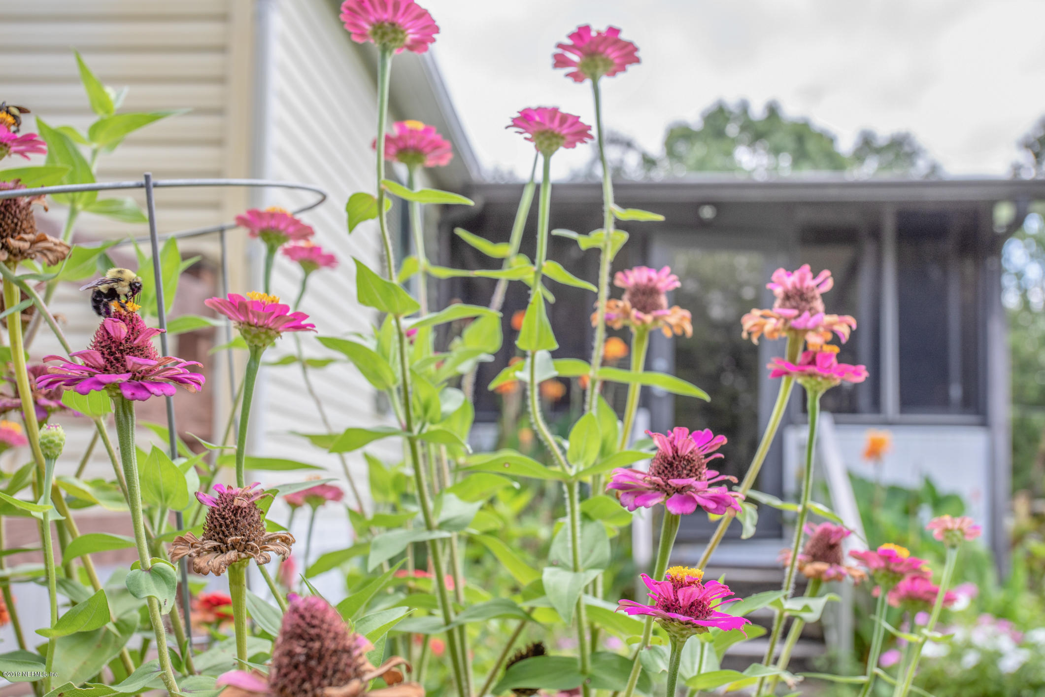 15801 Dusty Road Jacksonville, FL 32234 - Photo 39 of 69 Beautiful Flowers