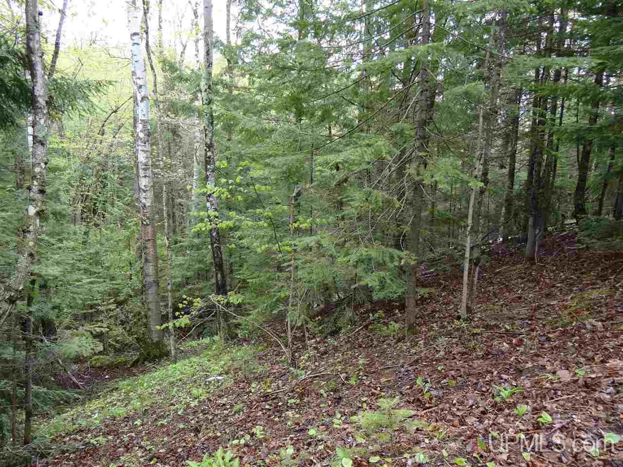 Tbd Freda Road Houghton, MI 49931 - Photo 4 of 15