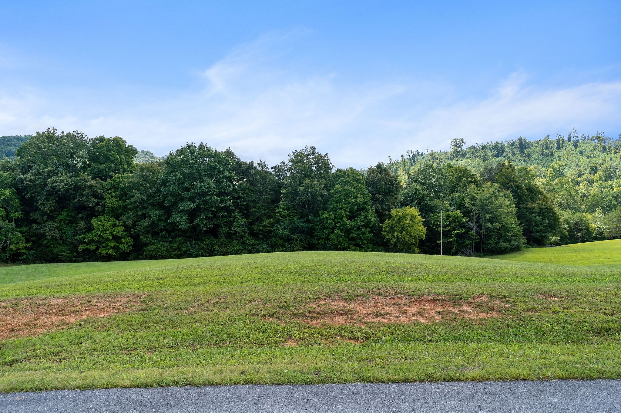 0 Dow Lane Doyle, TN 38559 - Photo 18 of 18 a view of a field with trees in the background
