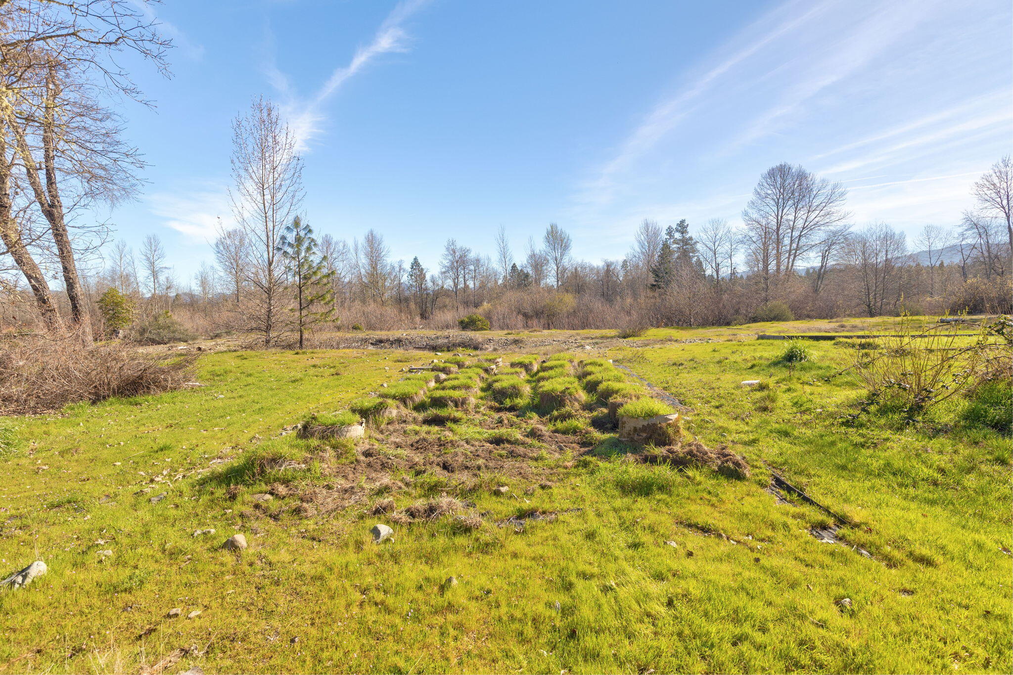 5737 Rockydale Road Cave Junction, OR 97523 - Photo 23 of 39 a view of a yard with an trees