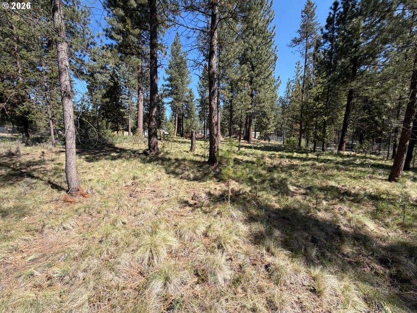 17019 Upland Road Bend, OR 97707 - Photo 11 of 14 a view of a yard with trees