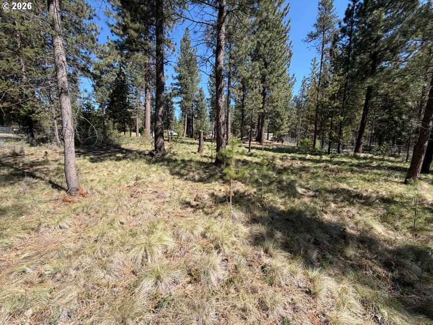 17019 Upland Road Bend, OR 97707 - Photo 12 of 14 a view of a yard with a tree