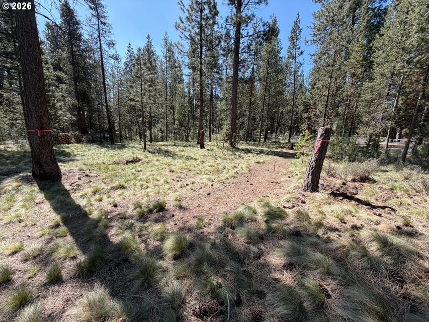 17019 Upland Road Bend, OR 97707 - Photo 13 of 14 a view of a forest with trees