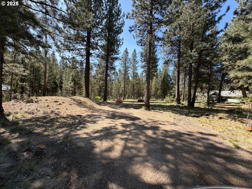 17019 Upland Road Bend, OR 97707 - Photo 3 of 14 a view of road with trees