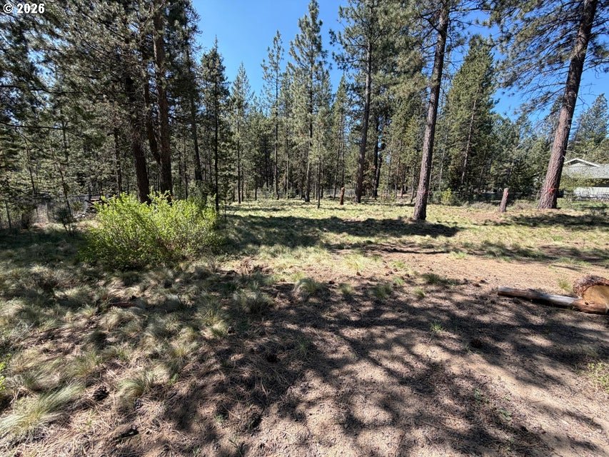 17019 Upland Road Bend, OR 97707 - Photo 10 of 14 a view of a backyard with trees
