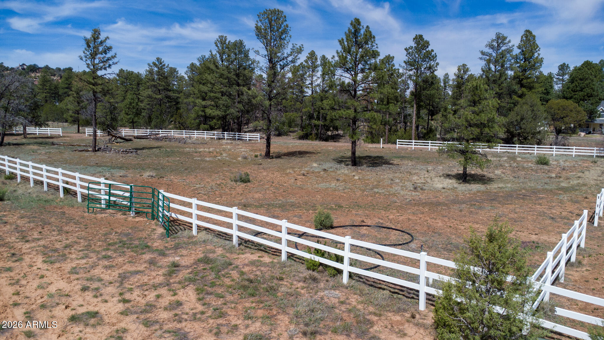 816 Fern Way Show Low, AZ 85901 - Photo 90 of 93 Potential Horse Property