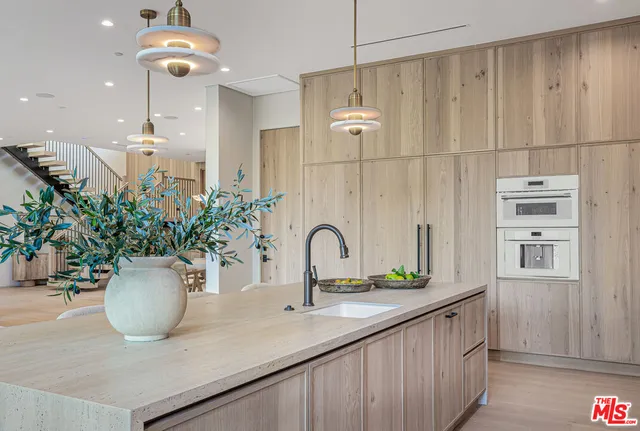 a view of a sink and a potted plant on a counter