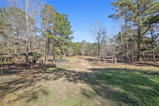550 Stonehill Road Folsom, LA 70437 - Photo 16 of 17