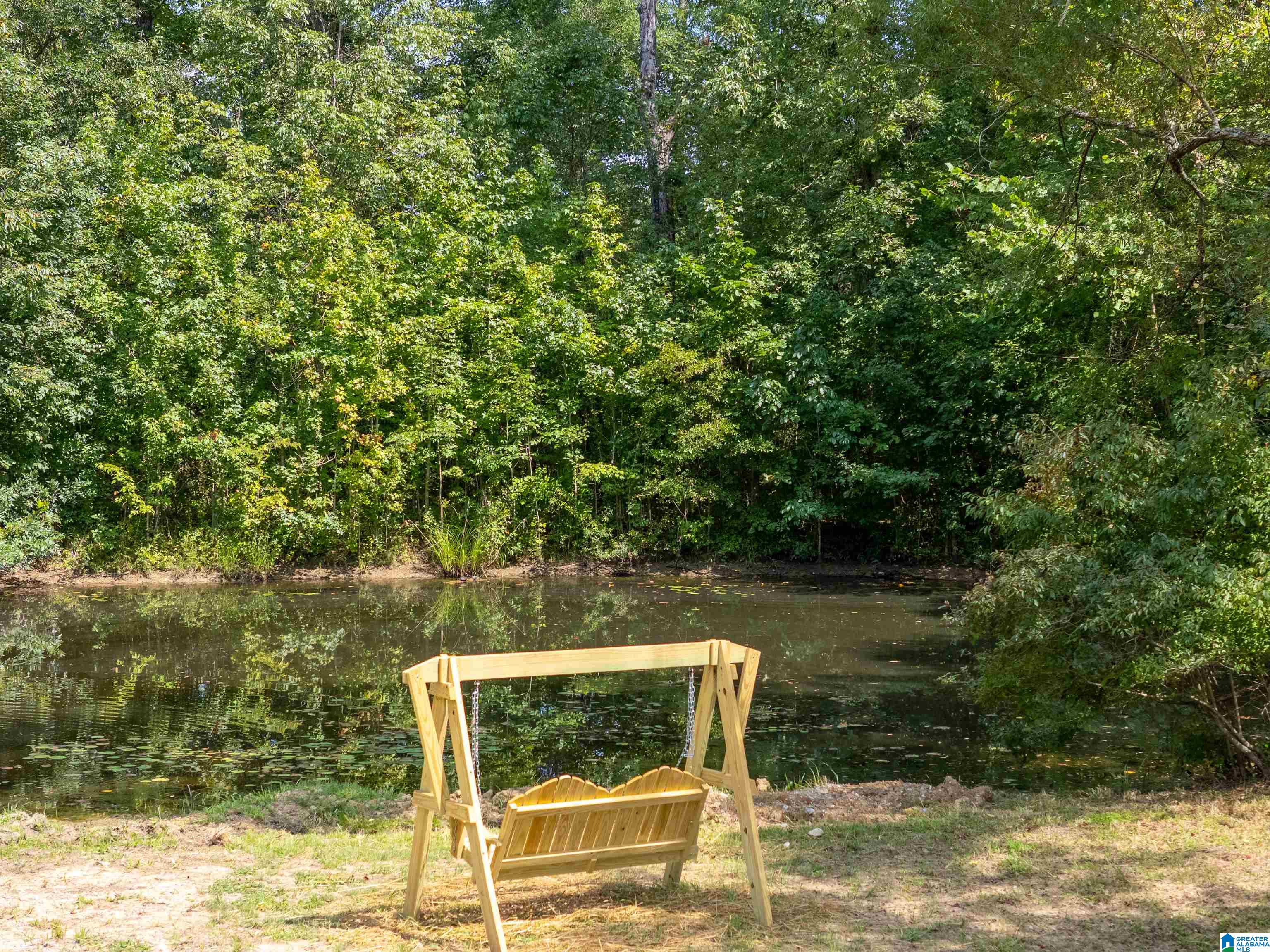 668 Jones Chapel Road Piedmont, AL 36272 - Photo 3 of 47