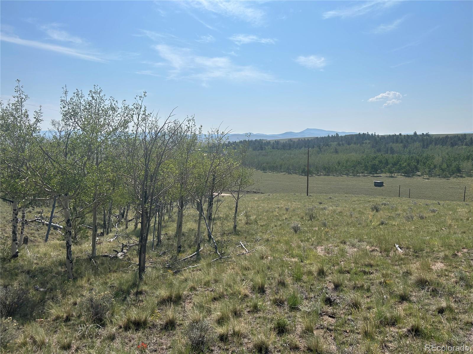 11414 Ranch Road Hartsel, CO 80449 - Photo 13 of 16 Gallery Image 13