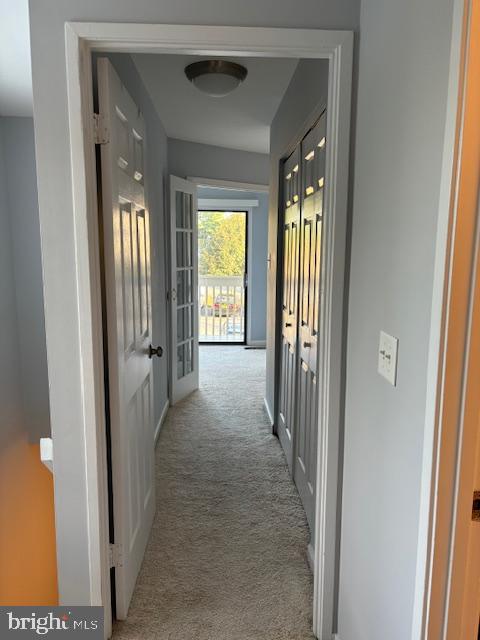 7900 Spring Forest Court Springfield, VA 22152 - Photo 16 of 40 a view of hallway with windows