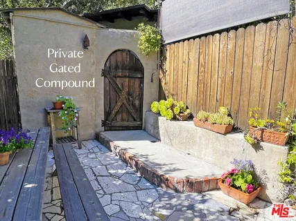 a potted plant sitting on a wooden floor