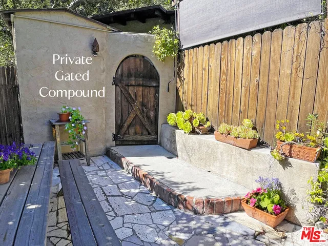 a potted plant sitting on a wooden floor