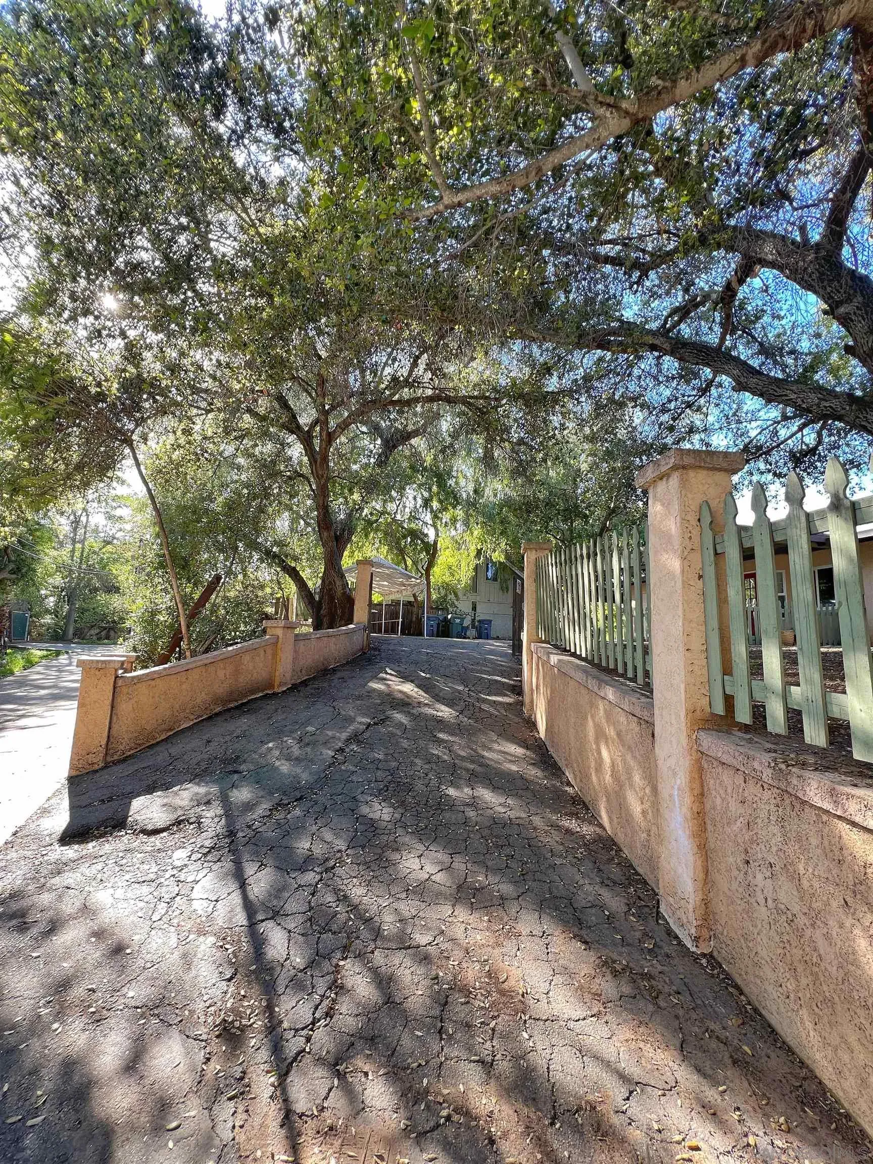 714 Convertible Lane Fallbrook, CA 92028 - Photo 28 of 28 a view of a yard with plants and trees