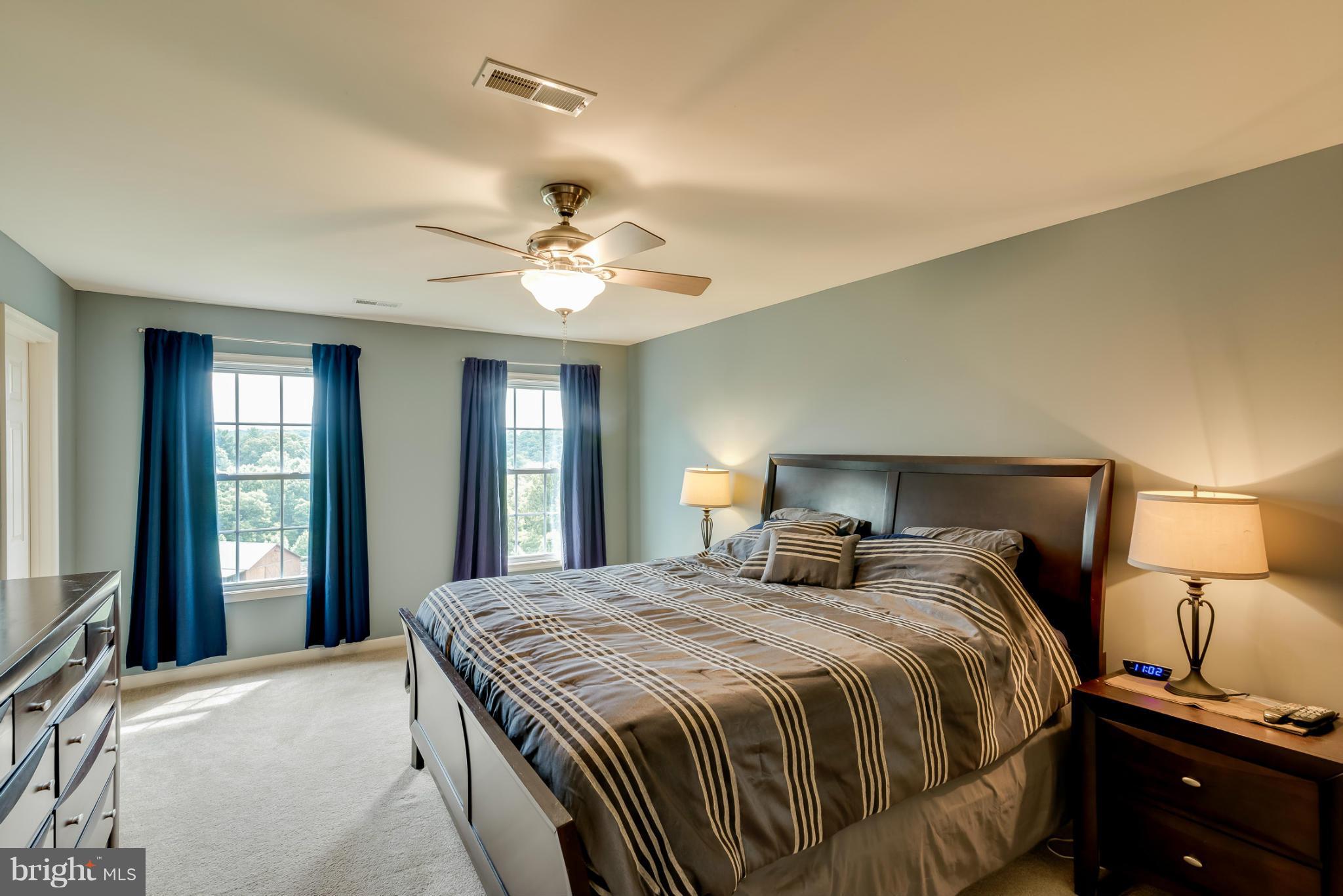 5459 Doc's Road Amissville, VA 20106 - Photo 13 of 30 Bedroom (Master)
