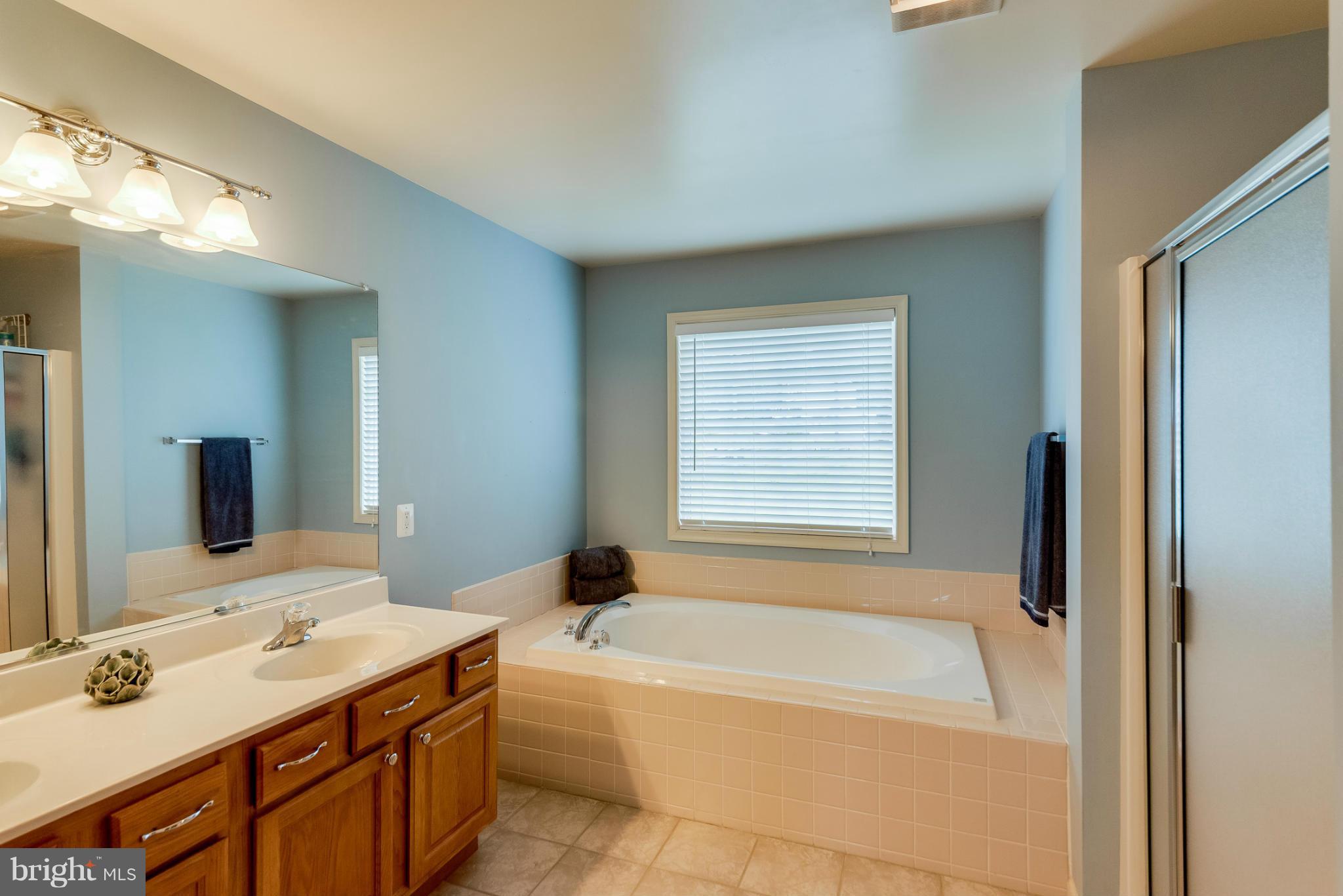 5459 Doc's Road Amissville, VA 20106 - Photo 15 of 30 Bath (Master)