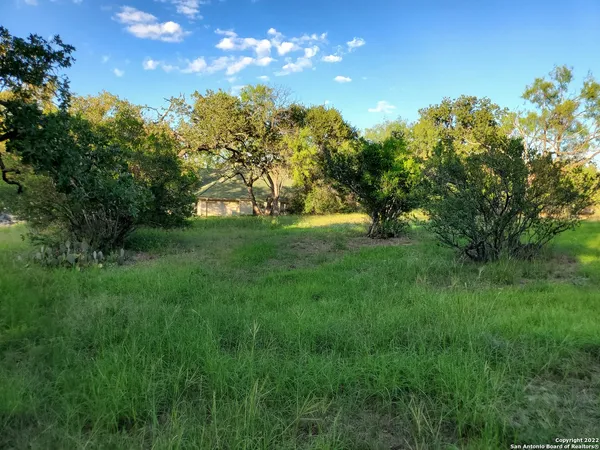 a view of yard with green space
