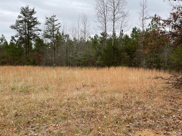 21404 Landora Bridge Road Ruther Glen, VA 22546 - Photo 1 of 6 a view of a lake view