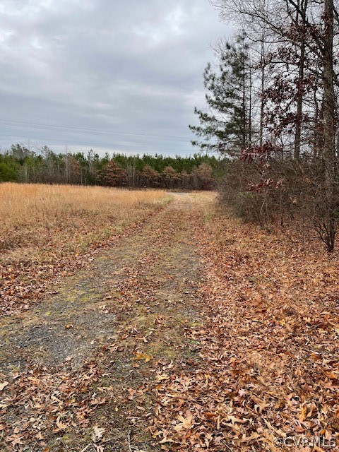 21404 Landora Bridge Road Ruther Glen, VA 22546 - Photo 2 of 6