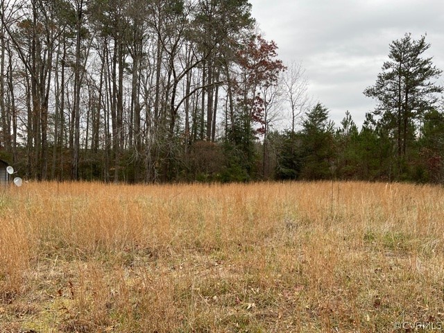 21404 Landora Bridge Road Ruther Glen, VA 22546 - Photo 6 of 6 a view of outdoor space and yard