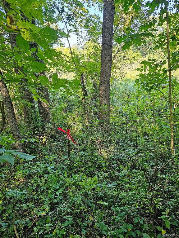 1 Marshall Road Ann Arbor, MI 48104 - Photo 12 of 14 Gallery Image 12