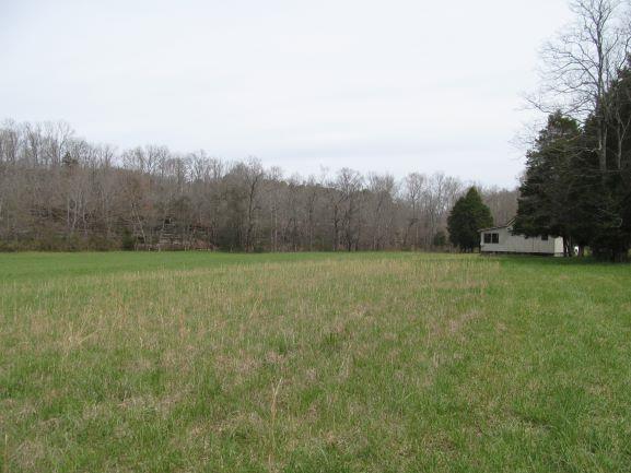 119 Paul Reed Road Hohenwald, TN 38462 - Photo 8 of 18 Gallery Image 8