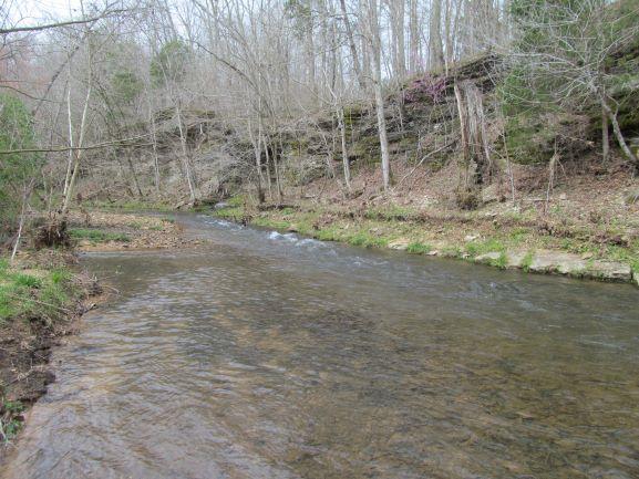 119 Paul Reed Road Hohenwald, TN 38462 - Photo 10 of 18 Gallery Image 10