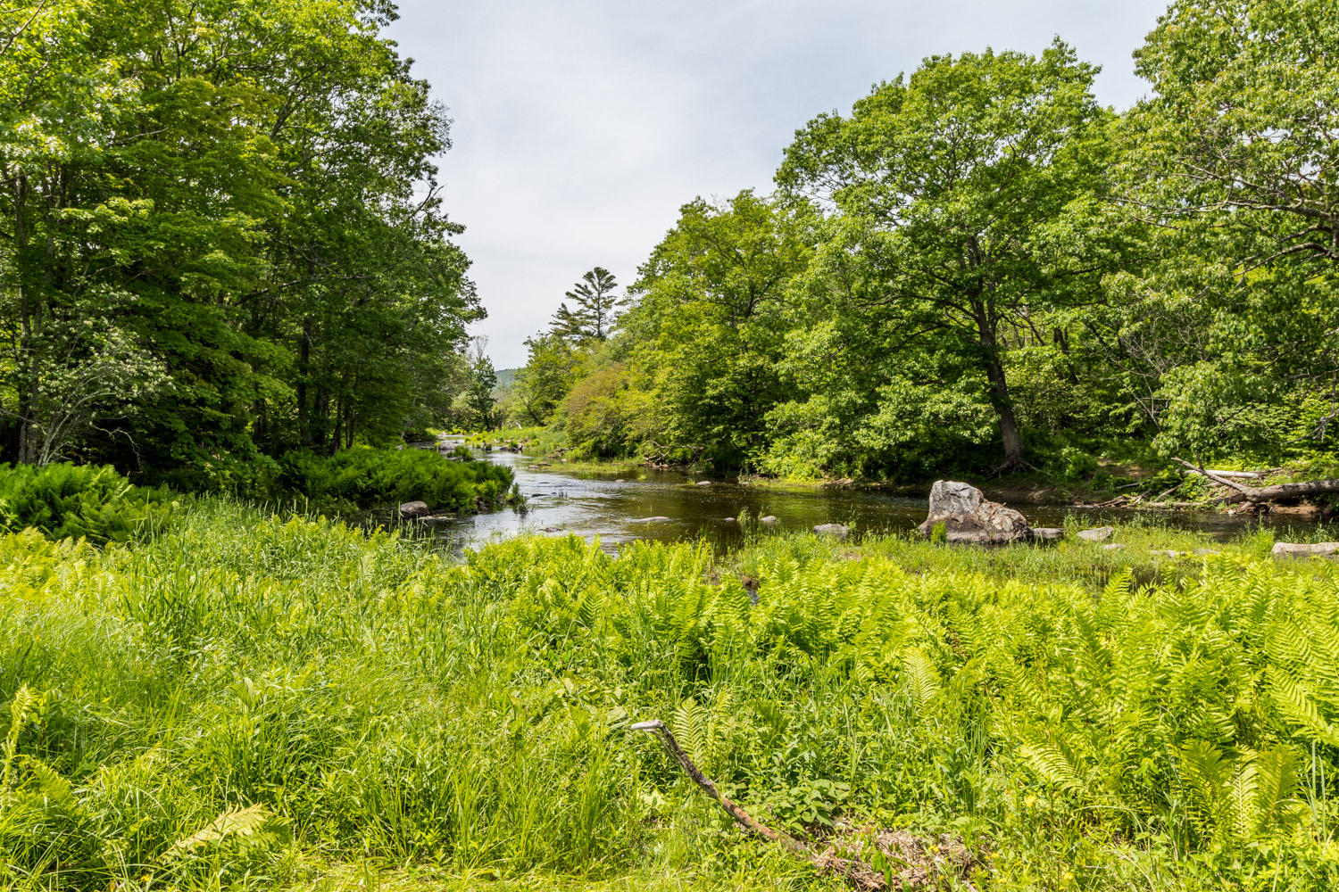 285 Camden Road Appleton, ME 04862 - Photo 60 of 62 20190619ms-82080
