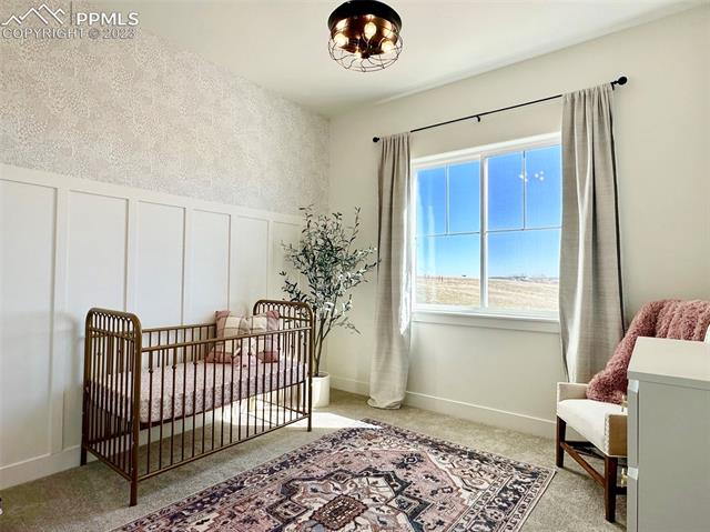 6498 Raleigh Road Colorado Springs, CO 80908 - Photo 19 of 30 Bedroom 2