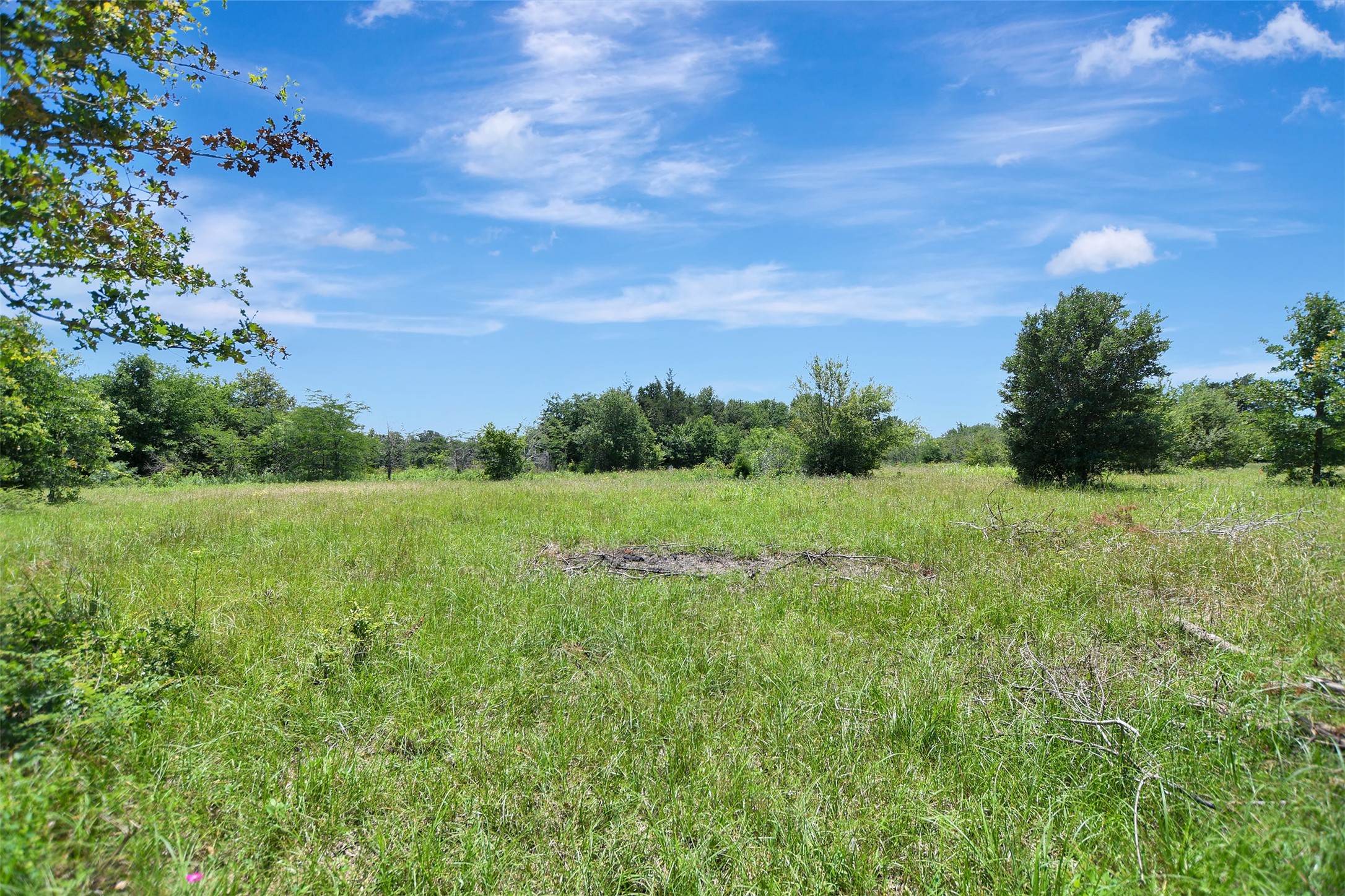 7629 Oxford Cemetery Road Madisonville, TX 77864 - Photo 9 of 12
