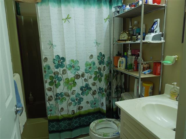 232 Daniel Road Dover, TN 37058 - Photo 13 of 20 Master bath with tub/shower combination.