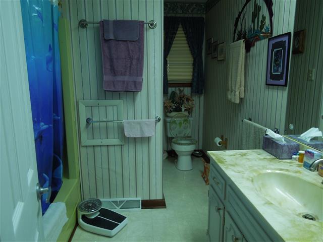 232 Daniel Road Dover, TN 37058 - Photo 16 of 20 Guest Bathroom with tub/shower combination