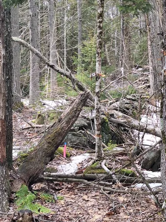 $110,000 | 0 Rogers Road, Alstead, NH 03602