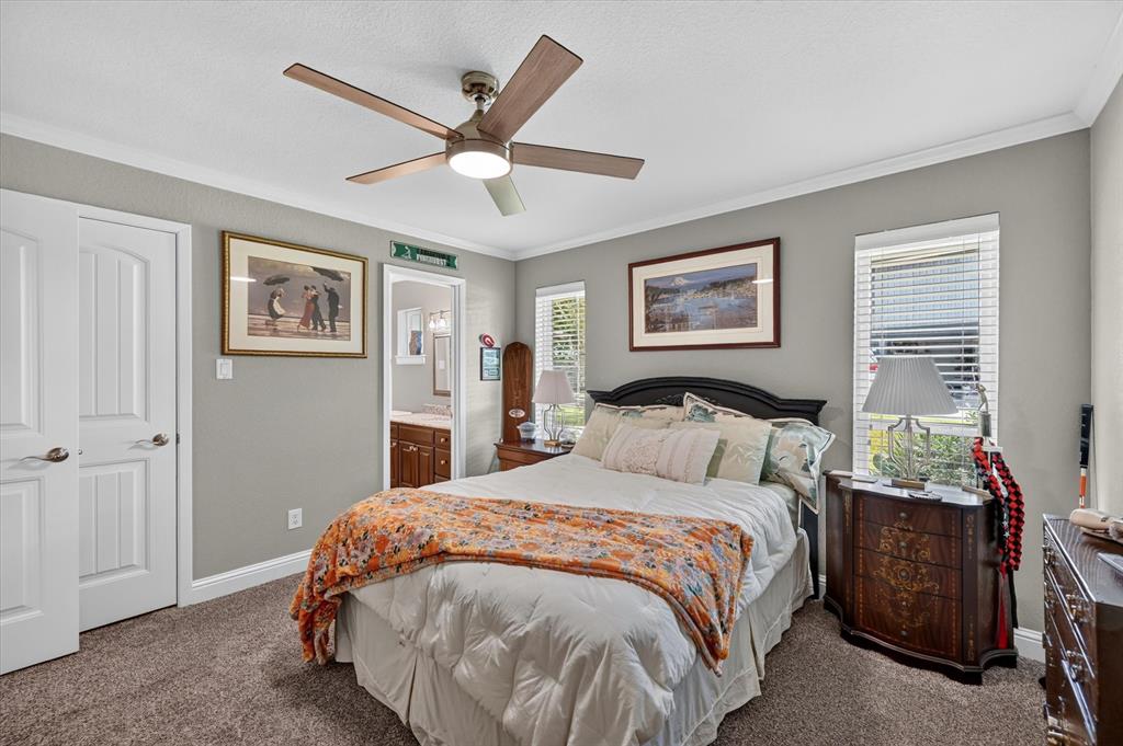 47 Bounty Road East Benbrook, TX 76132 - Photo 25 of 39 Carpeted bedroom with a ceiling fan, crown molding, and two windows with blinds