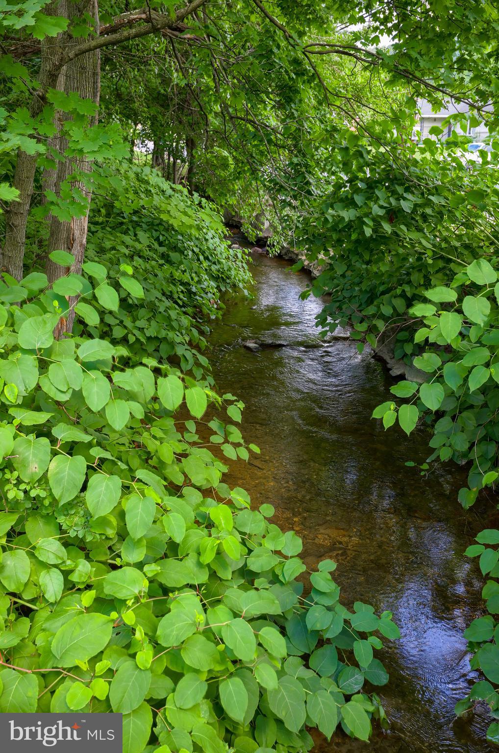 1139 Mount Laurel Road Temple, PA 19560 - Photo 24 of 61 Laurel Run Stream