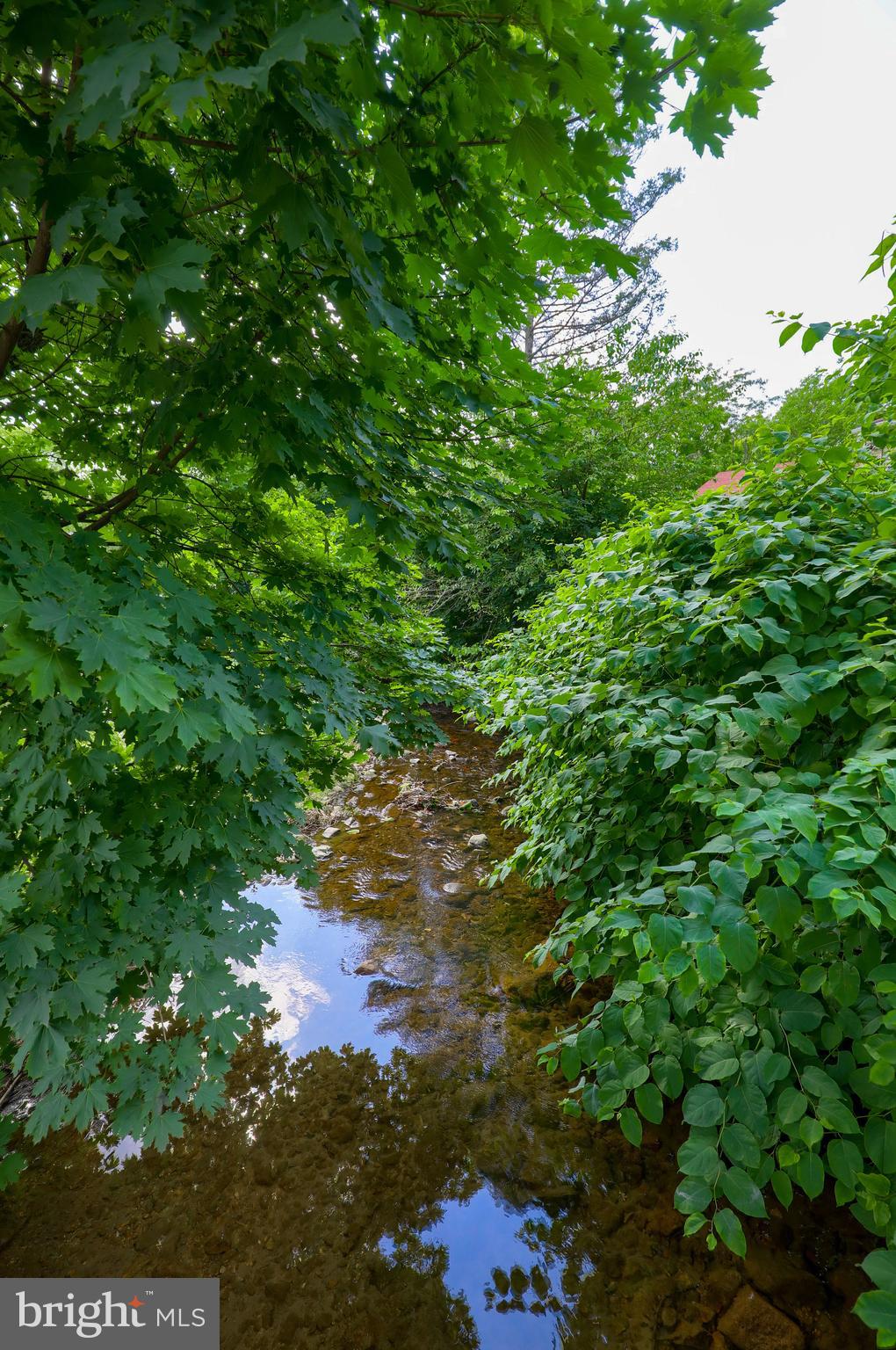 1139 Mount Laurel Road Temple, PA 19560 - Photo 25 of 61 Laurel Run Stream