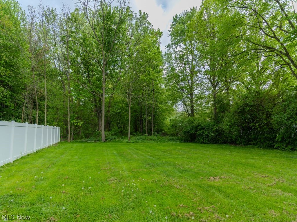 8828 Edgehill Road Mentor, OH 44060 - Photo 24 of 24 View of yard