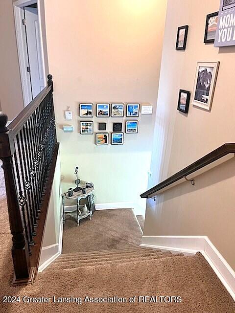 3020 Noble Road Williamston, MI 48895 - Photo 21 of 48 IMG_3604