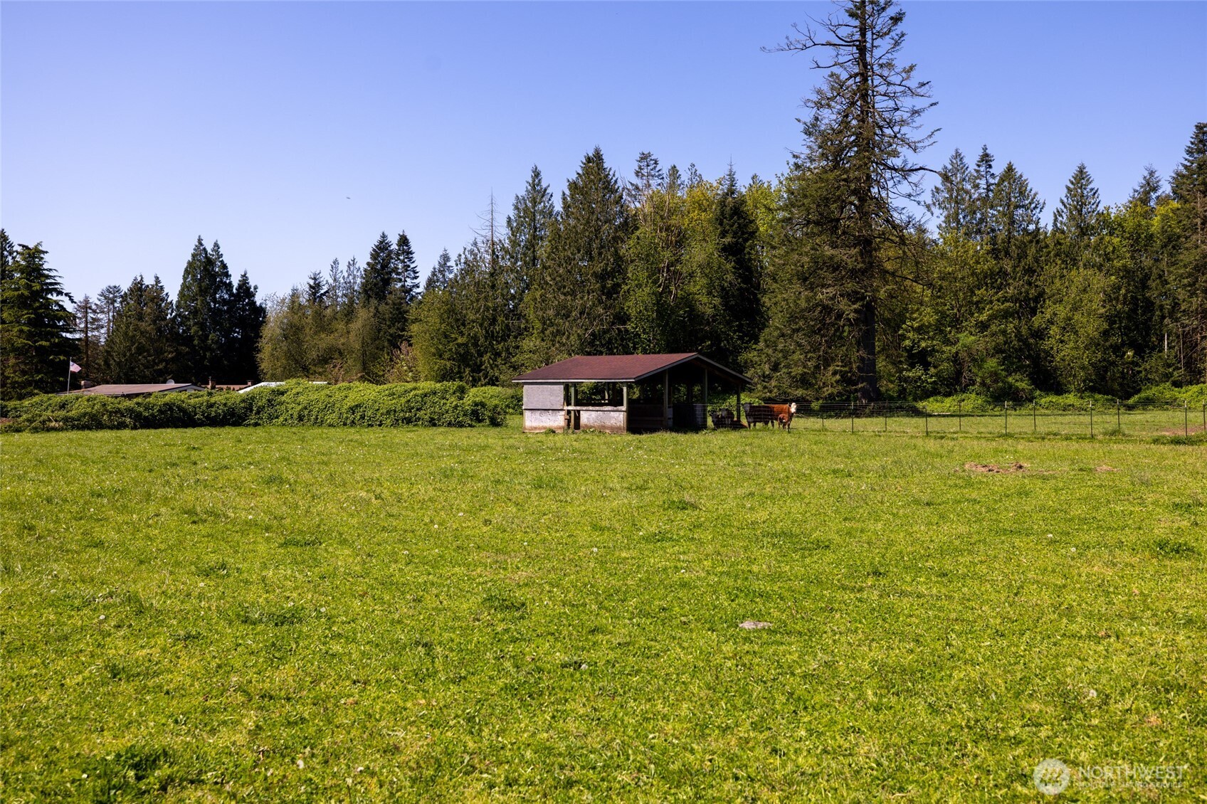 0 Gore Road Onalaska, WA 98570 - Photo 4 of 6