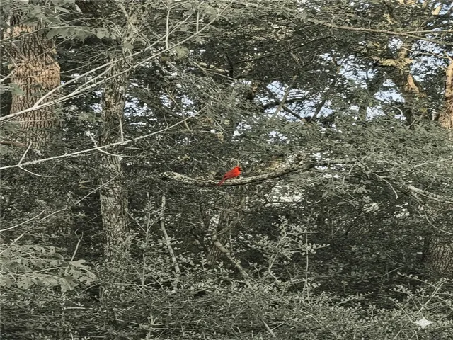 $599,000 | 5924 Wild Horse Run, College Station, TX 77845